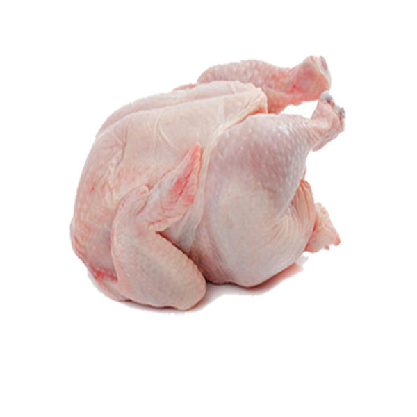 Chicken Broiler Copy