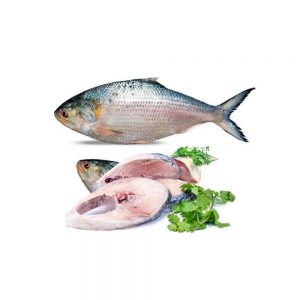 Fish
